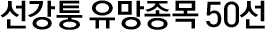 선강퉁 유망종목 50선